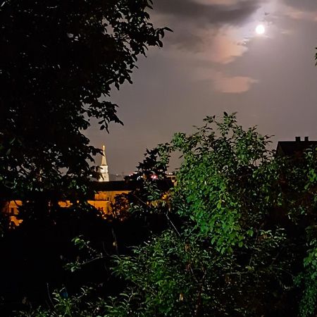 Piccola Italia Casa Racovita Cluj-Napoca Exteriör bild