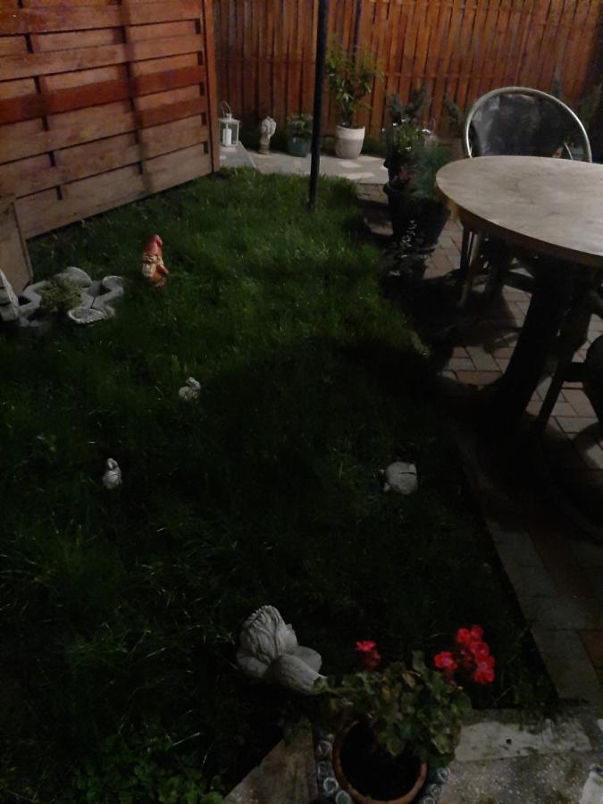 Piccola Italia Casa Racovita Cluj-Napoca Exteriör bild
