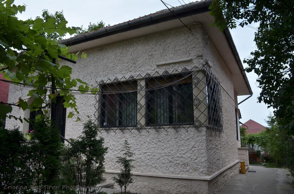 Piccola Italia Casa Racovita Cluj-Napoca Exteriör bild