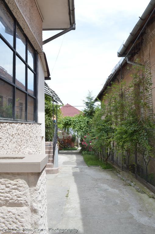 Piccola Italia Casa Racovita Cluj-Napoca Exteriör bild