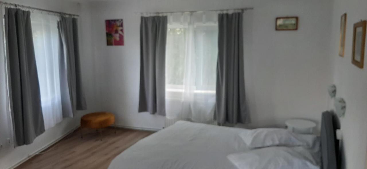 Piccola Italia Casa Racovita Cluj-Napoca Exteriör bild